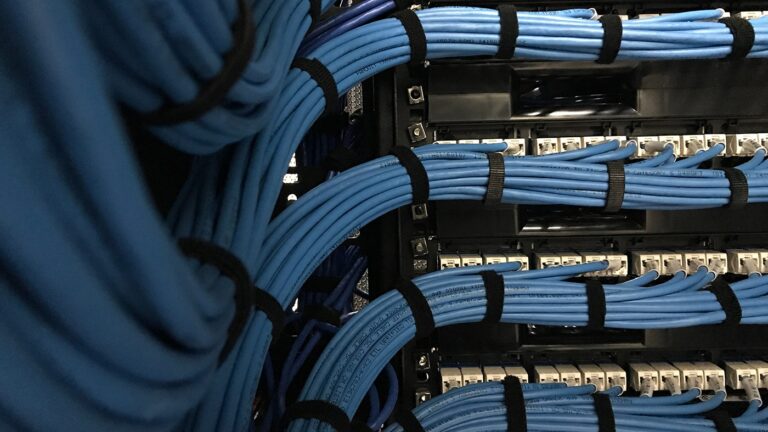 Cat6